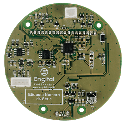 Placa Eletronica (3) (1)