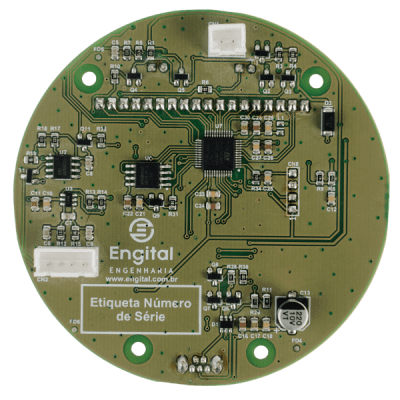 Placa Eletronica (3) (1)